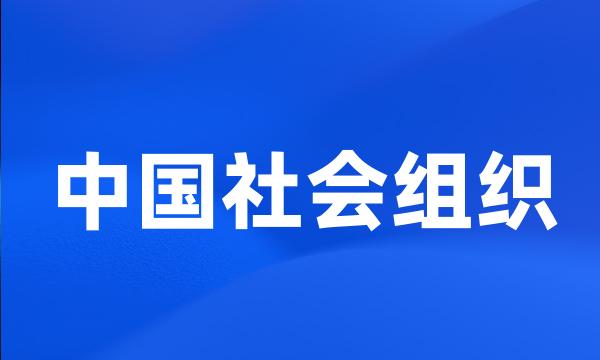 中国社会组织