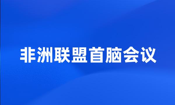 非洲联盟首脑会议