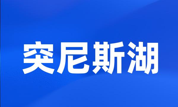 突尼斯湖