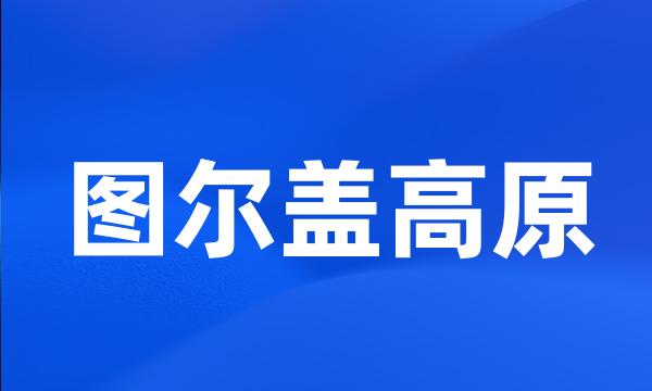 图尔盖高原