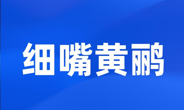 细嘴黄鹂