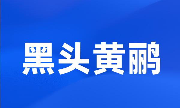 黑头黄鹂