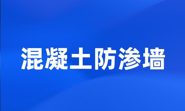 混凝土防渗墙