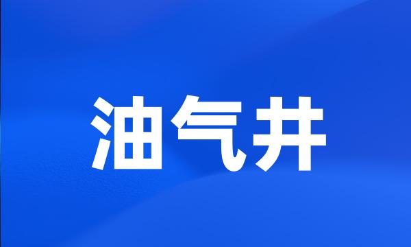 油气井