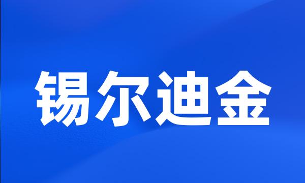 锡尔迪金