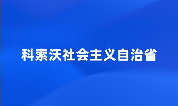 科索沃社会主义自治省