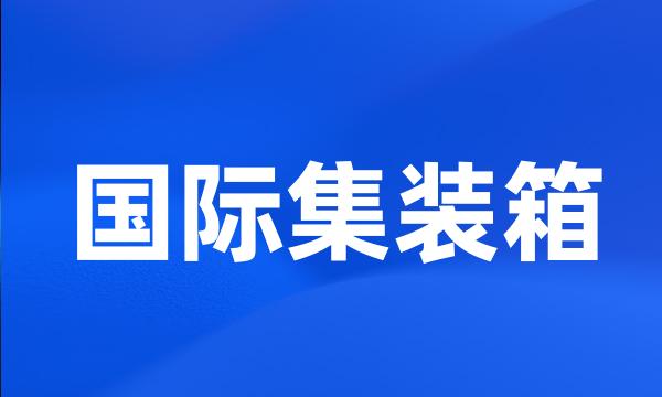 国际集装箱