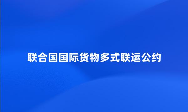 联合国国际货物多式联运公约