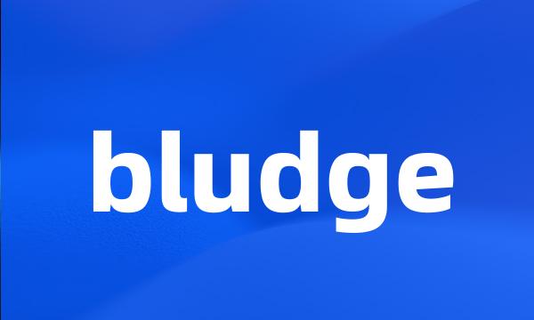 bludge