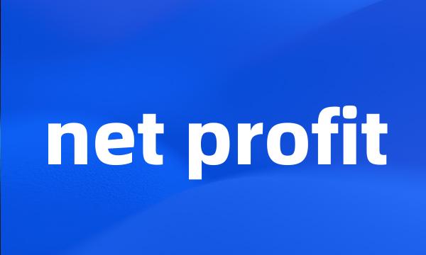 net profit