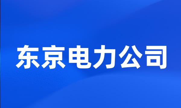 东京电力公司