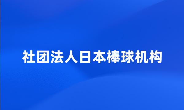 社团法人日本棒球机构