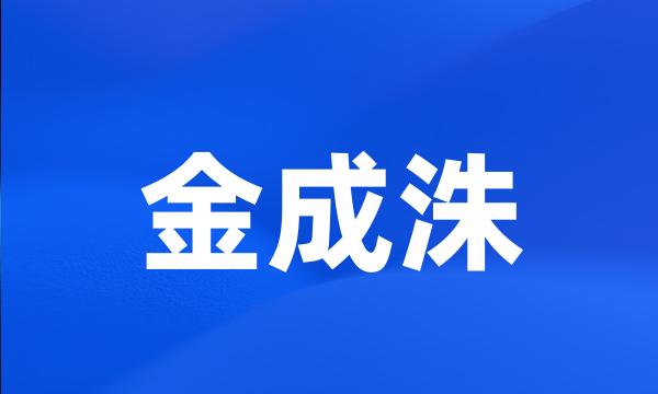 金成洙