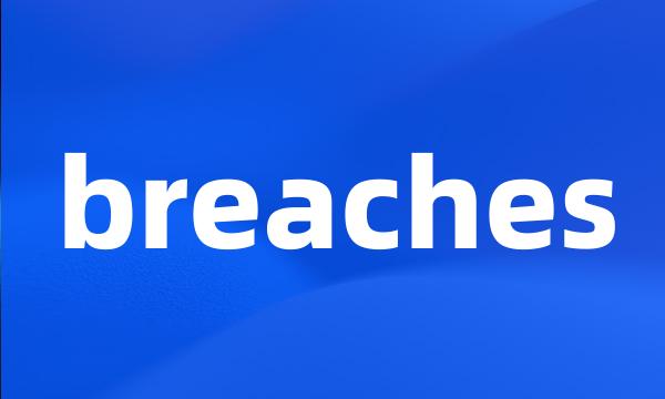 breaches