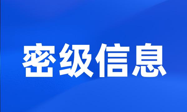 密级信息