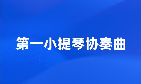 第一小提琴协奏曲