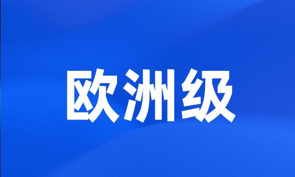 欧洲级