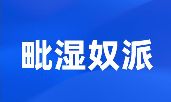 毗湿奴派