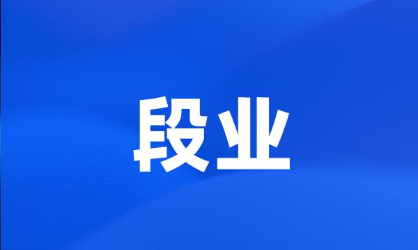 段业