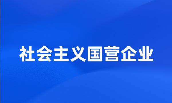 社会主义国营企业