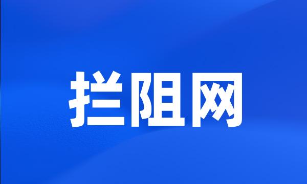 拦阻网