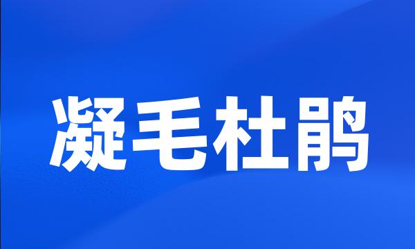 凝毛杜鹃