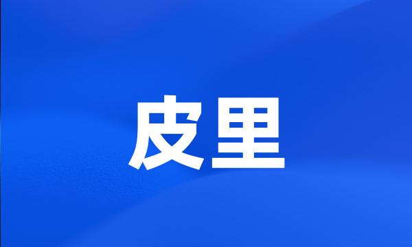 皮里