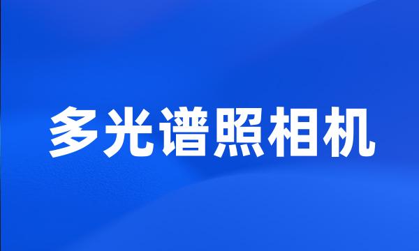 多光谱照相机