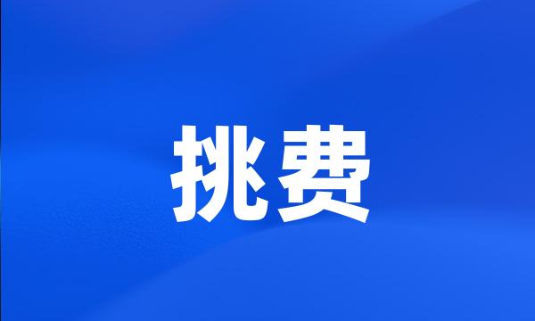 挑费