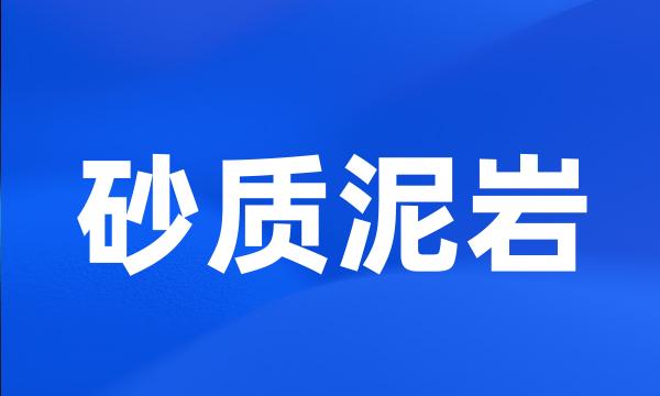 砂质泥岩