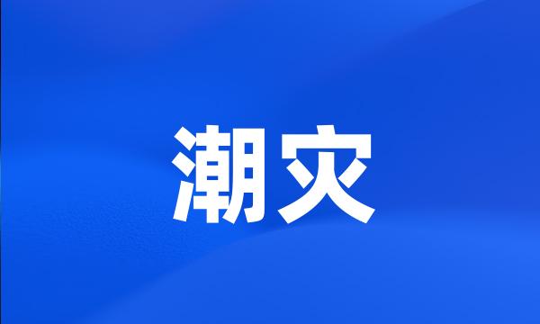 潮灾