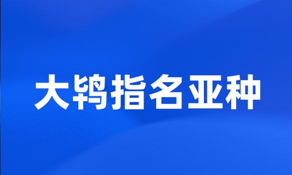 大鸨指名亚种