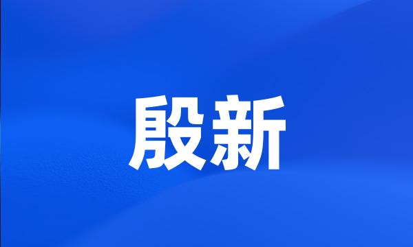 殷新