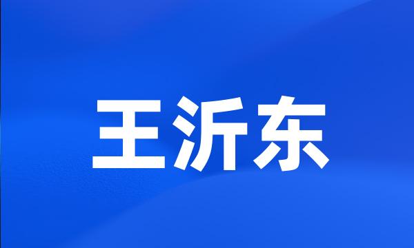 王沂东