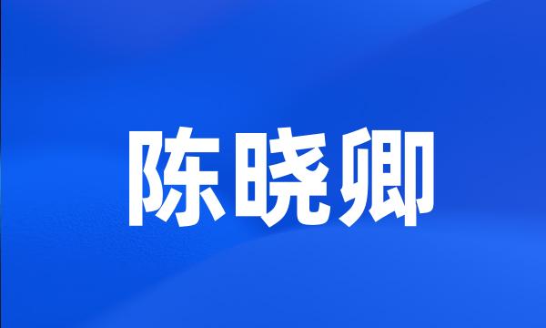 陈晓卿