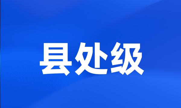 县处级