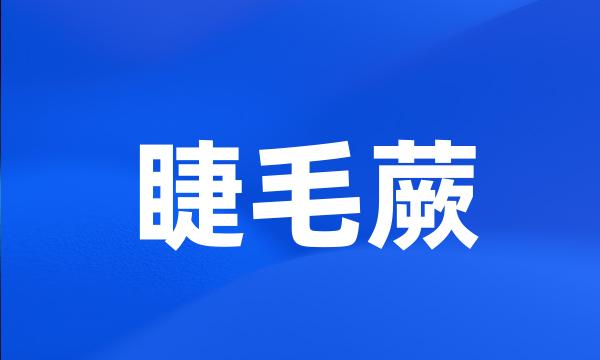 睫毛蕨