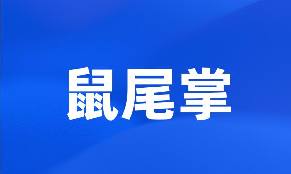 鼠尾掌