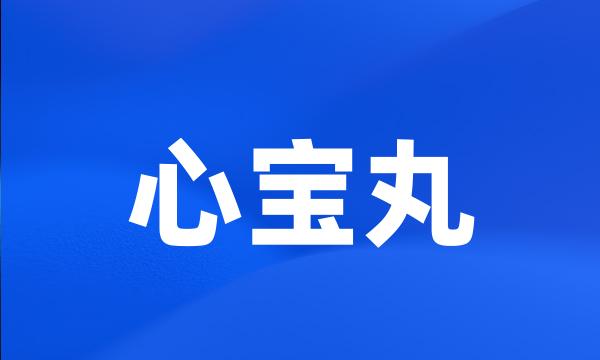 心宝丸