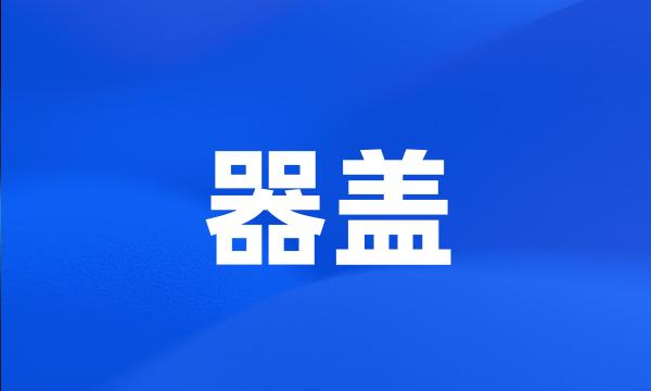 器盖