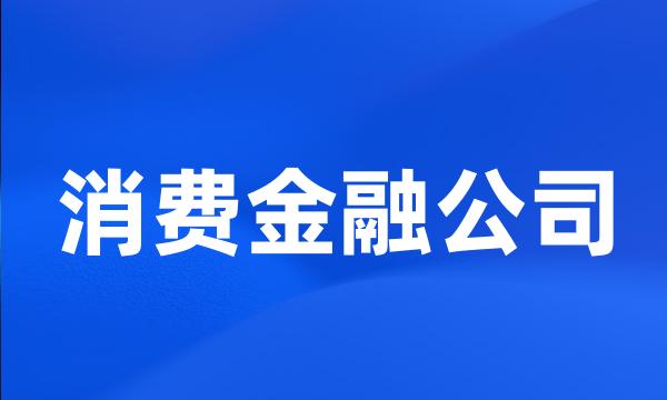 消费金融公司