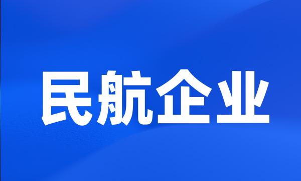 民航企业