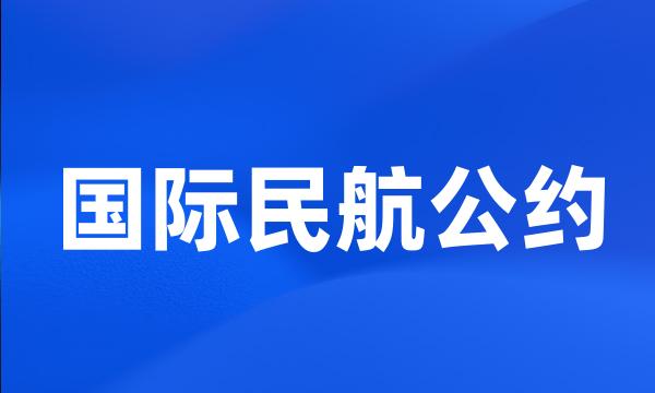 国际民航公约