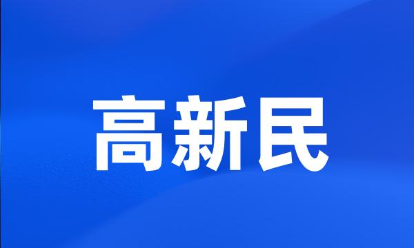 高新民