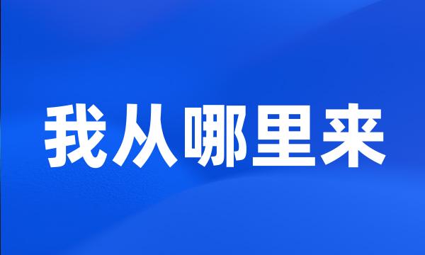 我从哪里来