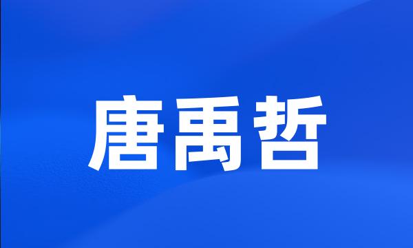 唐禹哲