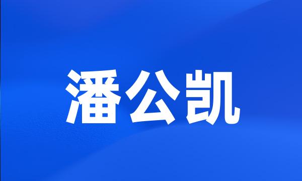 潘公凯