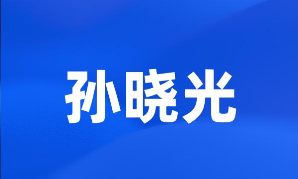 孙晓光