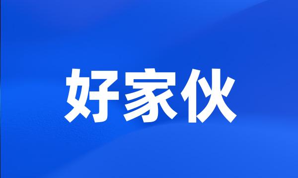 好家伙