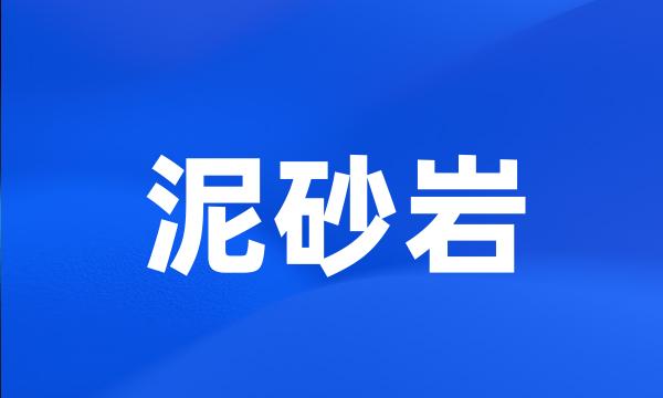 泥砂岩